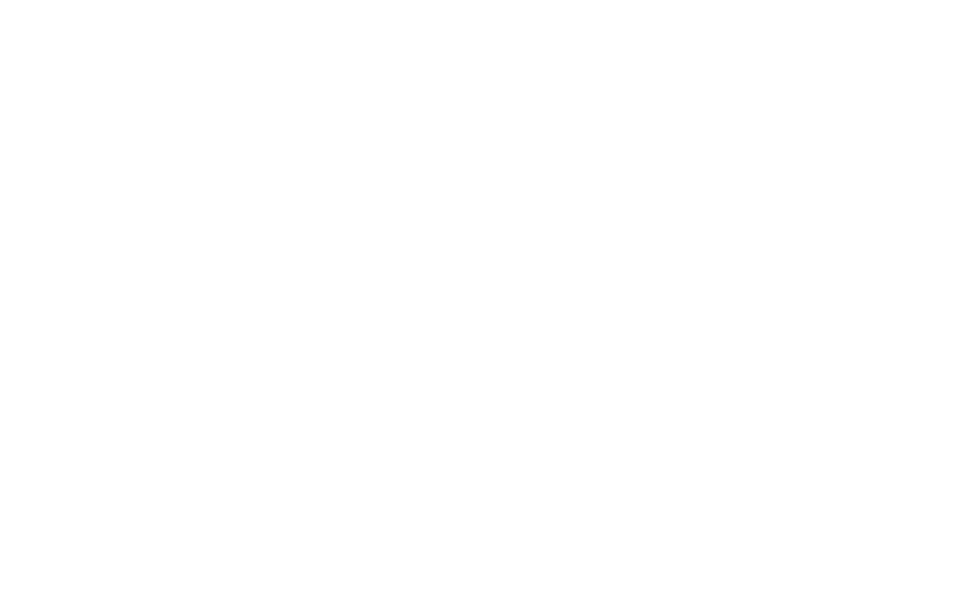 Referans Vestel